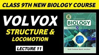 Volvox class 9 | Biology class 9 chapter 1| Biology class 9