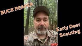 Early season deer scouting in NH - Buck Reaper