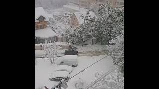 Snowfall in Chisinau / 21 апреля  2017 года Молдова  Кишинев