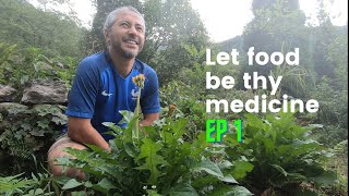 Let food be thy medicine - Dandelion |EP 1|