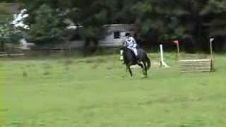 Rheidol Riding Centre One Day Event 8th July 2007