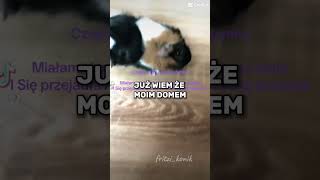 Już wiem