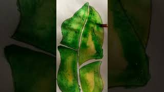 Banana Leaf Drawing | Drawing Banana Leaf For Beginners | Banana Leaf Kaise Draw Karein | #shorts 💚