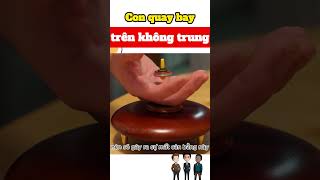 Con quay bay trên không trung #shorts