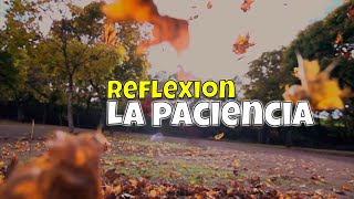 La Paciencia - Reflexión #5