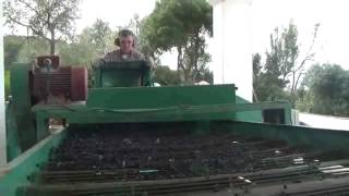 AZIENDA AGRICOLA BIOMIRTO DI TIROTTO MARIO