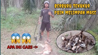 berburu terkukur ketemu buruan istimewa 😱😱