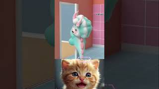 Don't play on the door many times😅🤣 #short #trollcat3 #catvideos #trollcat