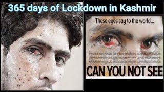 Kashmiri Lives Matter too | 365 days of Lock down in Jammu and Kashmir | Endless curfew in Kashmir