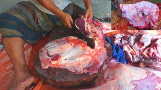 See how to efficiently cut beef | Beef Meat Cutting | Cutting Skills | cow cutting | all in one