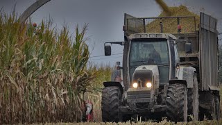 ☆ WYŻSZA OD SIECZKARNI?! ☆ BIAŁY FENDT? ☆ KUKURYDZA NA KISZONKE Z AGRO KOMPLEX ☆ 4x ZESTAWY W AKCJI☆