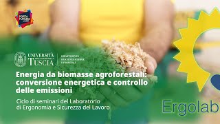 🖥️ WEBINAR | ENERGIA DA BIOMASSE AGROFORESTALI: CONVERSIONE ENERGETICA E CONTROLLO DELLE EMISSIONI