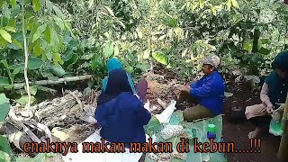 KAMPUNG KURING/ENAKNYA MAKAN DI KEBUN/KEBUN DI PERBUKITAN