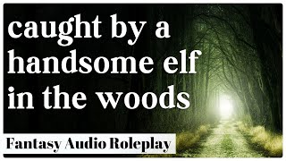 Meeting An Elf Adventurer (Ep. 2) | [M4F] [ASMR Fantasy Adventure Roleplay] [Enemies to Friends]