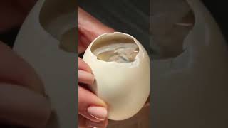 Un balut es un huevo de pato ya fertilizado con su embrión dentro :0