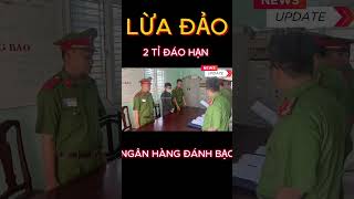 Lừa huy động 2 tỉ đồng đáo hạn ngân hàng rồi đem đánh bạc #shorts #tintuc #thoisu #tintức24h #news