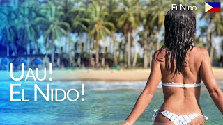 QUE DIA! ⎮ EL NIDO ⎮ T2・EP10