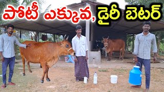 డైరీ ఫార్మ్ బెటర్ dairy farm is better @MalleshAdla