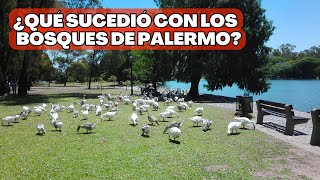 que sucedio con los #bosques de #palermo 🤔#historia #history #argentina #buenosaires #viajando