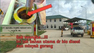 Perjalanan muat minyak sawit CPO