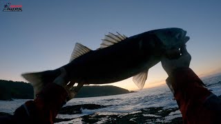 Robalo Al Atardecer