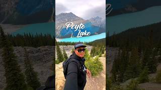 Peyto Lake #peytolake #travel #banff #canadianrockies