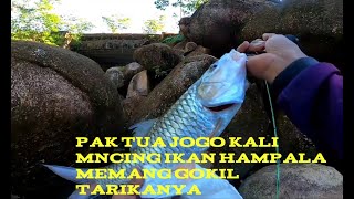 PAK TUA JOGO KALI MANCING IKAN HAMPALA SANGAT DAHSYAT TARIKANYA