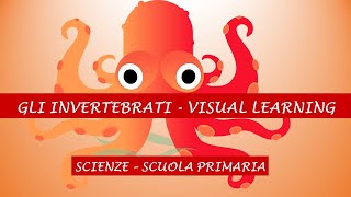 VIDEO LEZIONE INVERTEBRATI VISUAL LEARNING