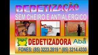 DEDETIZADORA PALPINA ( 85) 3214 4330 + (85) 98406 0357