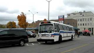 Brantford Transit 9725