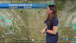 Danielle Savoni - CTV News Calgary - Tuesday, June 25, 2024.