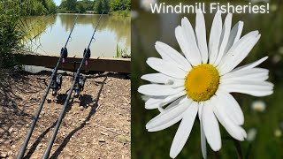 Carp Fishing Windmill Fisheries!