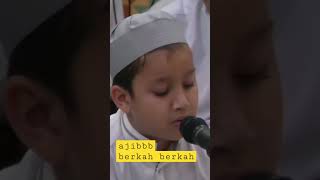 Habib Muhammad Hadi #shorts #pecintasholawat