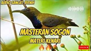 MASTERAN SOGON MATERI MEWAH TEMBAKAN RAPAT KENARI🔥🔥#masteranburung #sogon #sogonbahan #sogontrotol