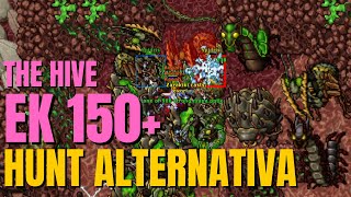 RUBINOT - HUNT ALTERNATIVA EK 150 + PROFIT DE 500K THE HIVE EM GRAY ISLAND - TIBIA