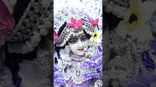 Radha Nirtye #viral #shortvideo #tranding #youtubeshorts #jaimatadi #views #radhakrishna