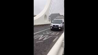 Swan holds up traffic on the Samuel Beckett Bridge