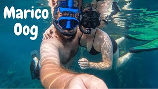 Diving into the Crystal Waters of Marico Oog, Groot Marico | North West Gem