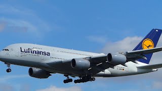 GIGANTIC | Lufthansa Airbus A380 landing at Frankfurt Airport