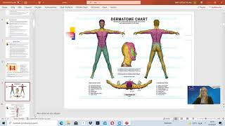 Every Disc can not create the pain? How can we find the source of the pain with pain map?