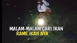 NANGKUL IKAN DI MALAM HARI