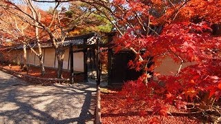 Nisonin in Kyoto,Japan Dec,2013