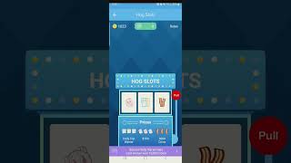 Receipt Hog:Earn Prizes from Receipts