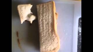 Sausage Sandwich