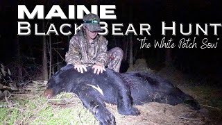 Successful Self Filmed Black Bear Hunt | The White Patch Bear | 2023