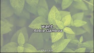 want - Abbie Gamboa (lyric video)