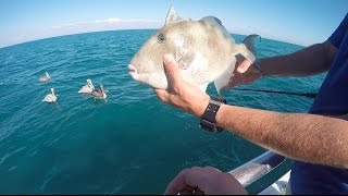 First Time Ocean Fishing From A Boat