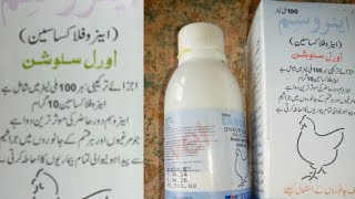 مرغیوں میں جراثیمی بیماریوں سے مکمل تحفظ انشاللہ، poultry farming in Pakistan,  Enro FloxaCin,