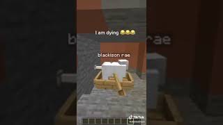 minecraft be like(funny things on tiktok)