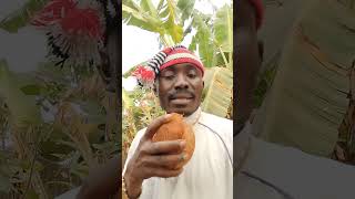 Just coconut water, Sea salt...{Nature is real, every family deserve this video}